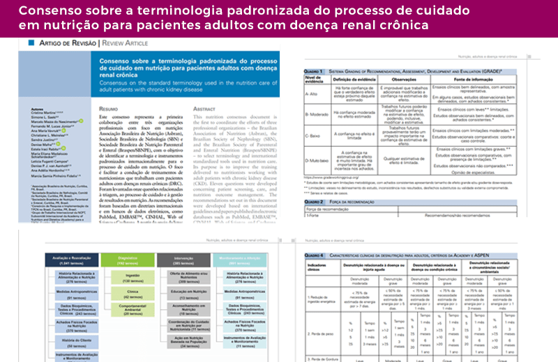 Consenso Terminologia Padronização de Processo cuidado nutrição Renal